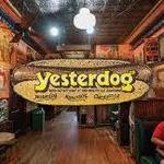 Yesterdog