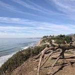 Douglas Family Preserve