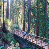 Big Sur — Outdoors & Hiking