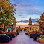 Indiana University Campus