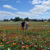 Sauvie Island Farms