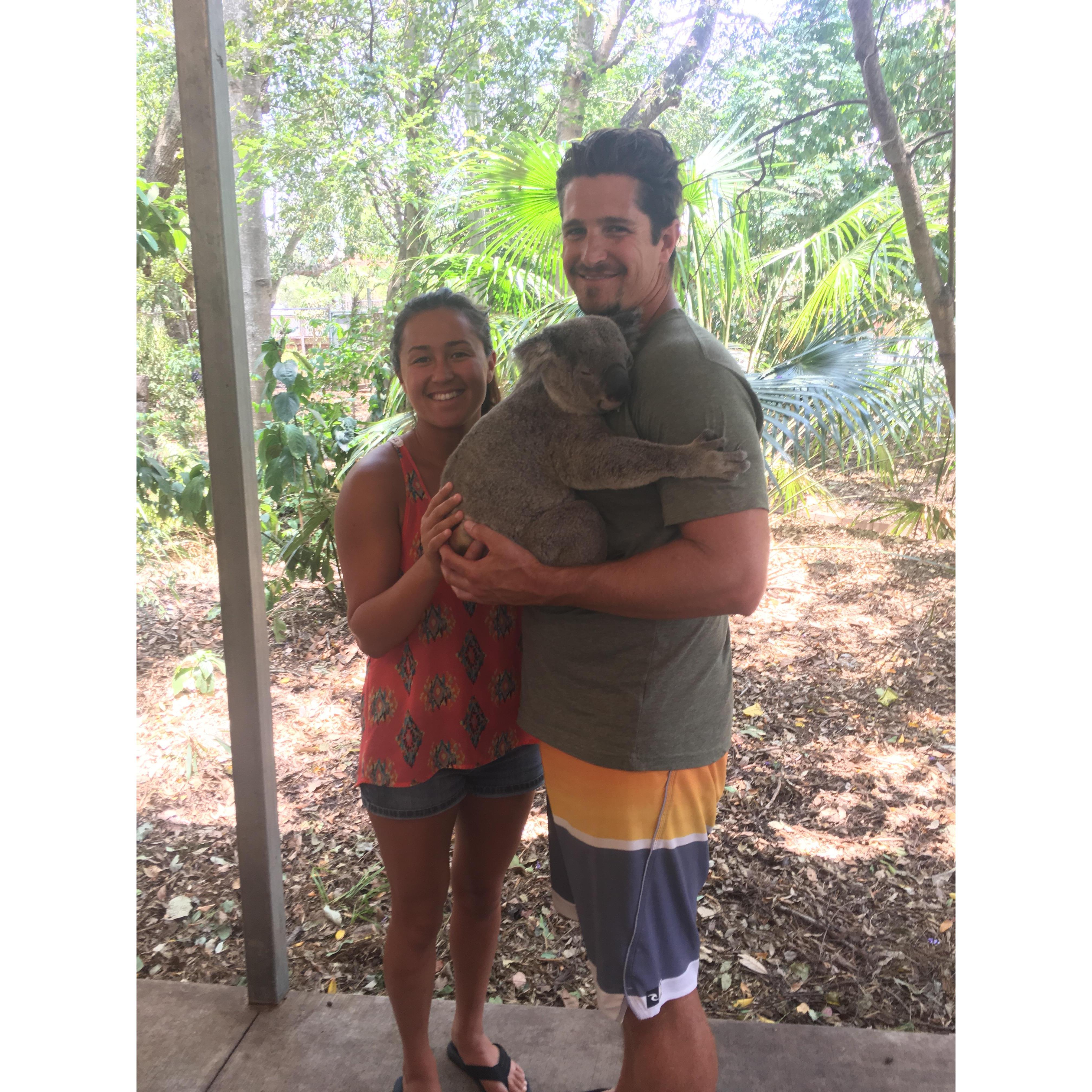 Lone Pine Koala Sanctuary- Brisbane, Australia
