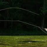 Local Waters Fly Fishing Guides