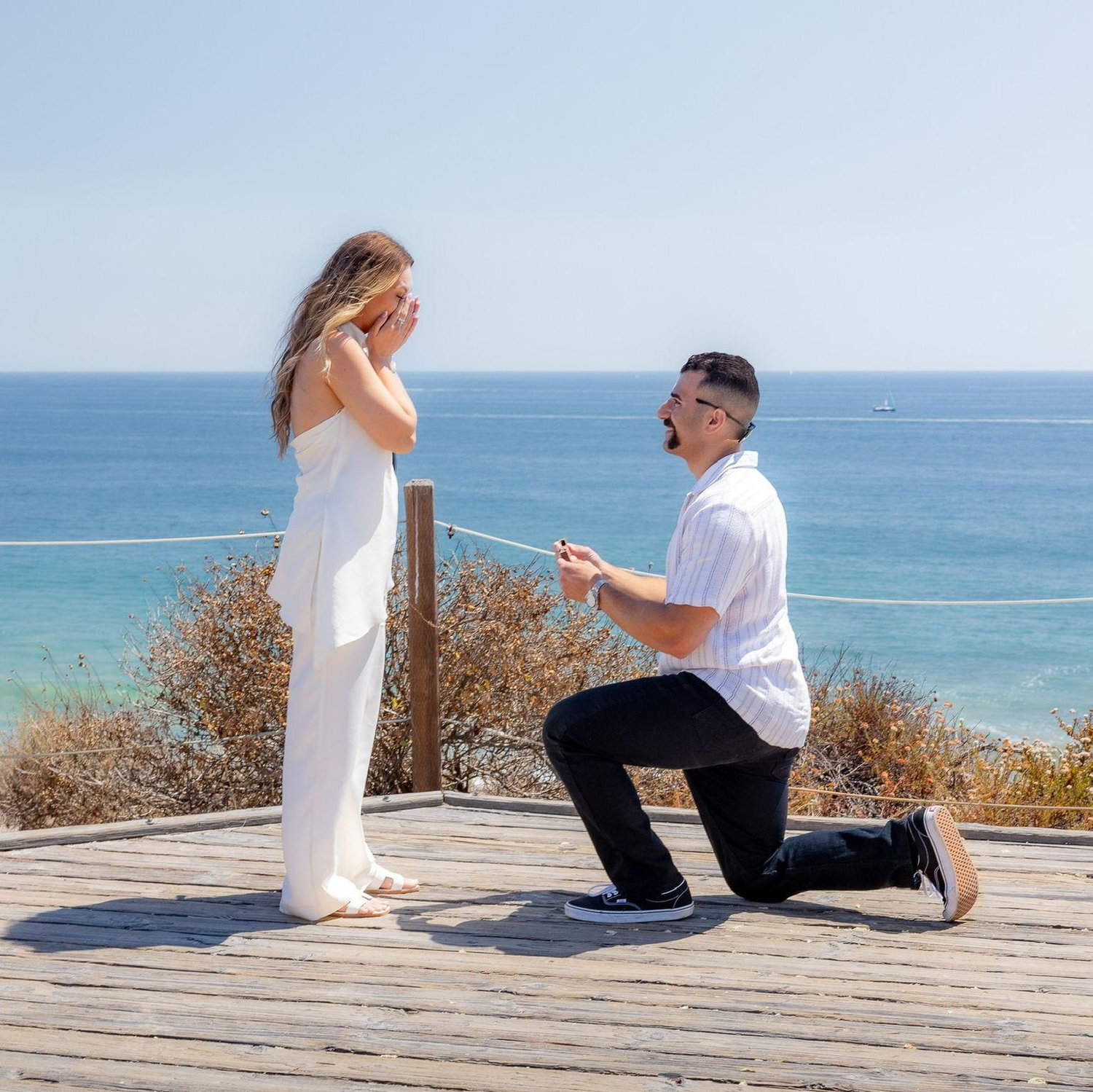 The Proposal