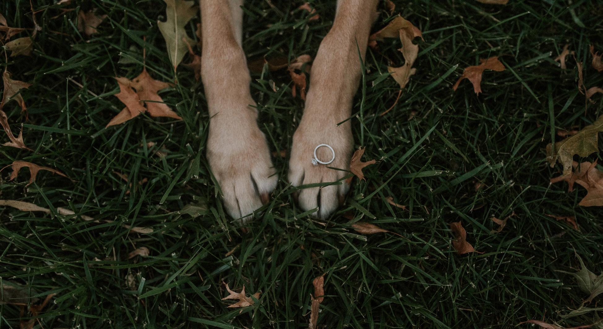Footer image