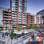 The Gulch