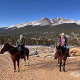 Jackson's Stables Inc