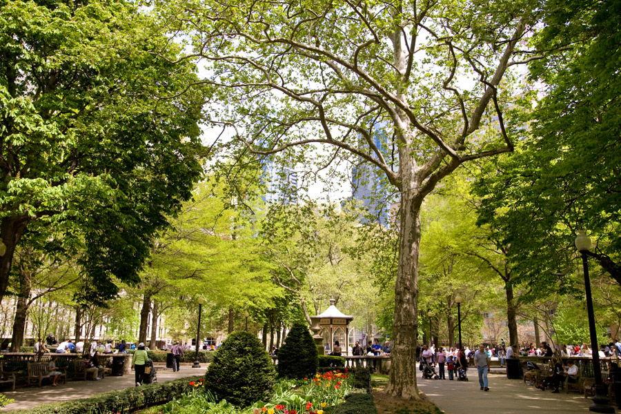 The Wedding Website of Jessie Reed and Cris Slotoroff