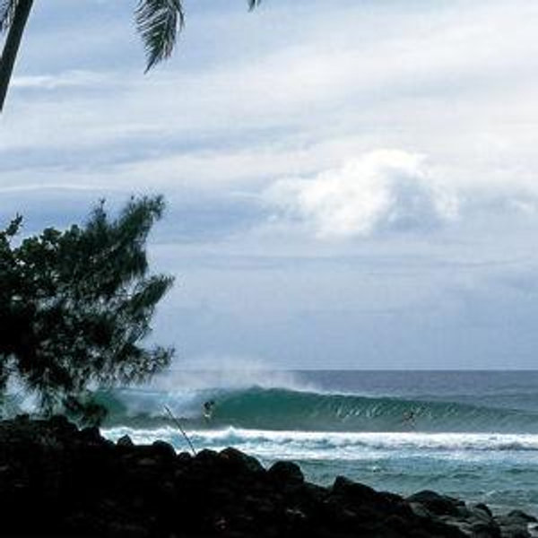 Surf Board Rentals