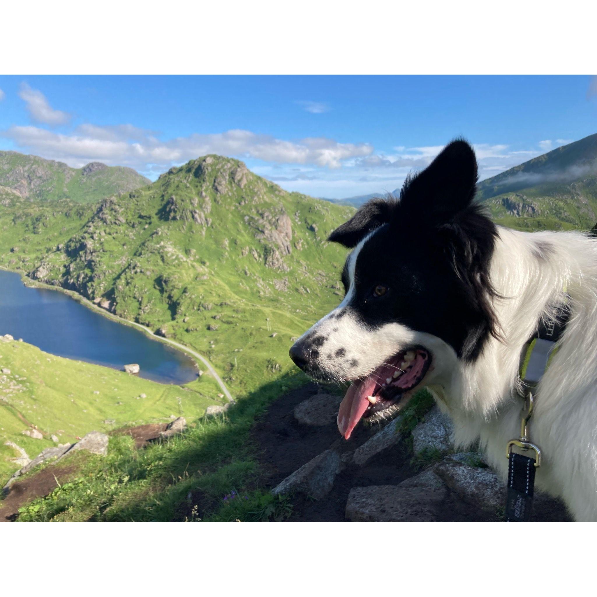 Fletcher hiking in Lofoten, his favorite place.