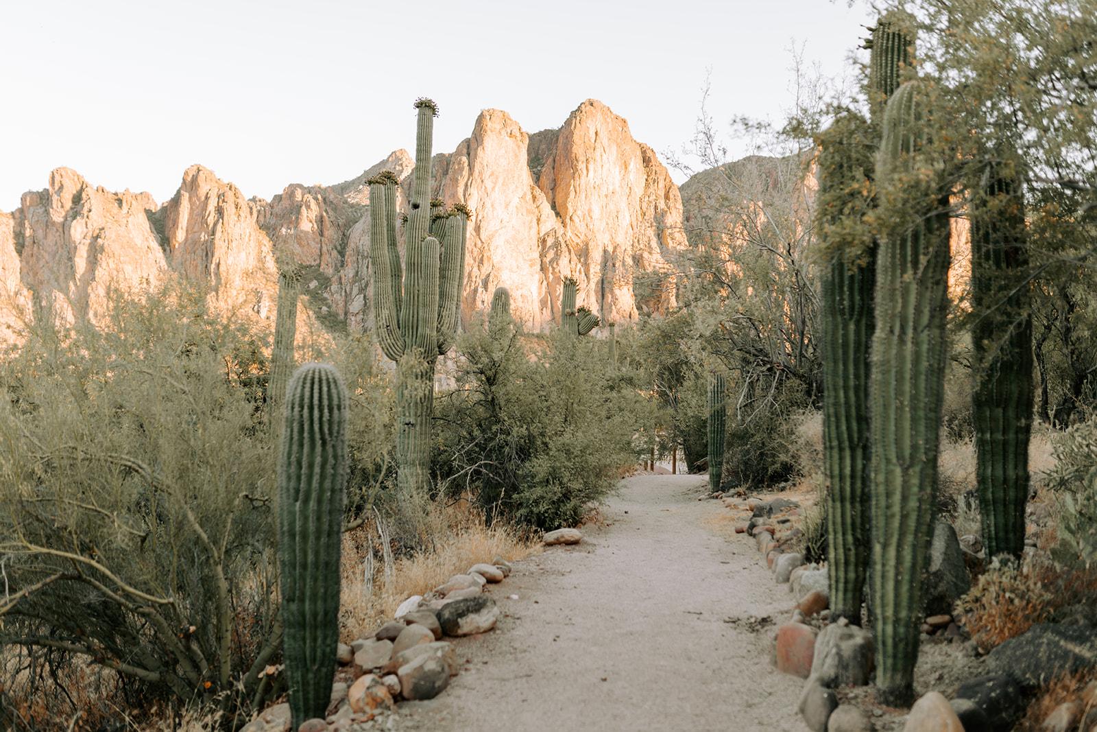 The Wedding Website of Katie Minker and Jake Huey