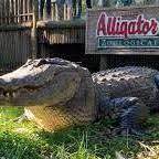 St. Augustine Alligator Farm Zoological Park