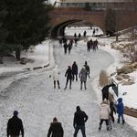 Centennial Lakes Park (Ice Skating)