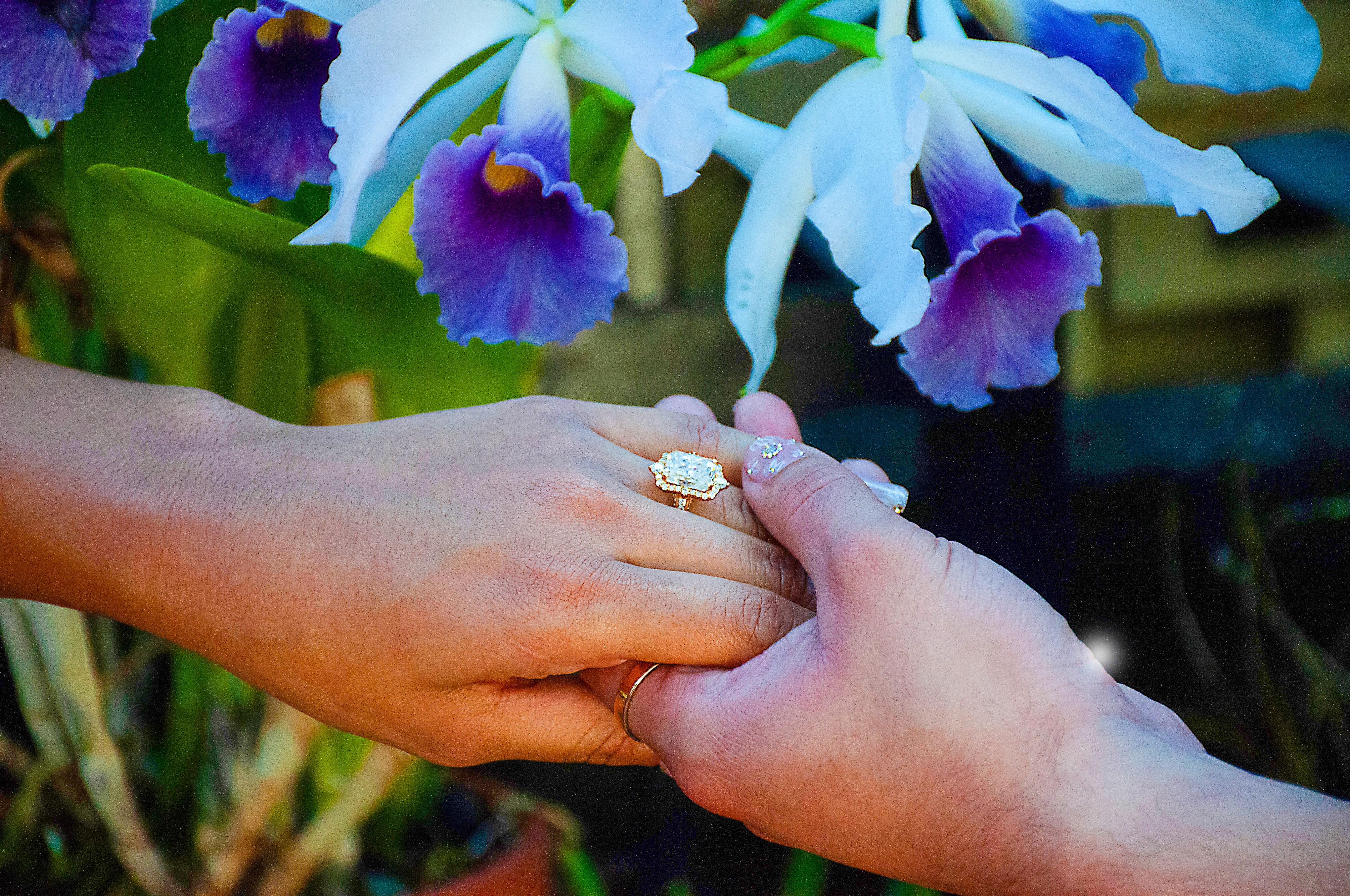 The Wedding Website of Alexa Garcia and Andy Renteria