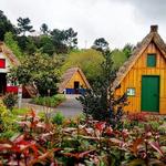 Culture & Historical Attractions