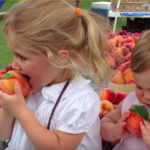 Covington Farmer's Market