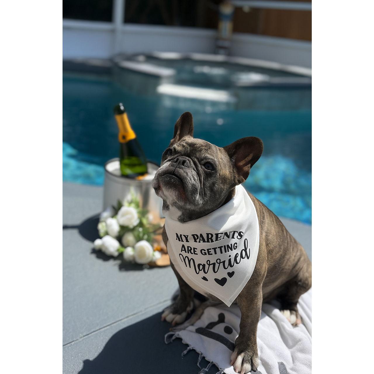 If you know us at all, you know that Little Miss Penelope is the most important thing in our life and we love her with every single inch of our heart and soul.