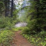 Union Creek Trail 1035