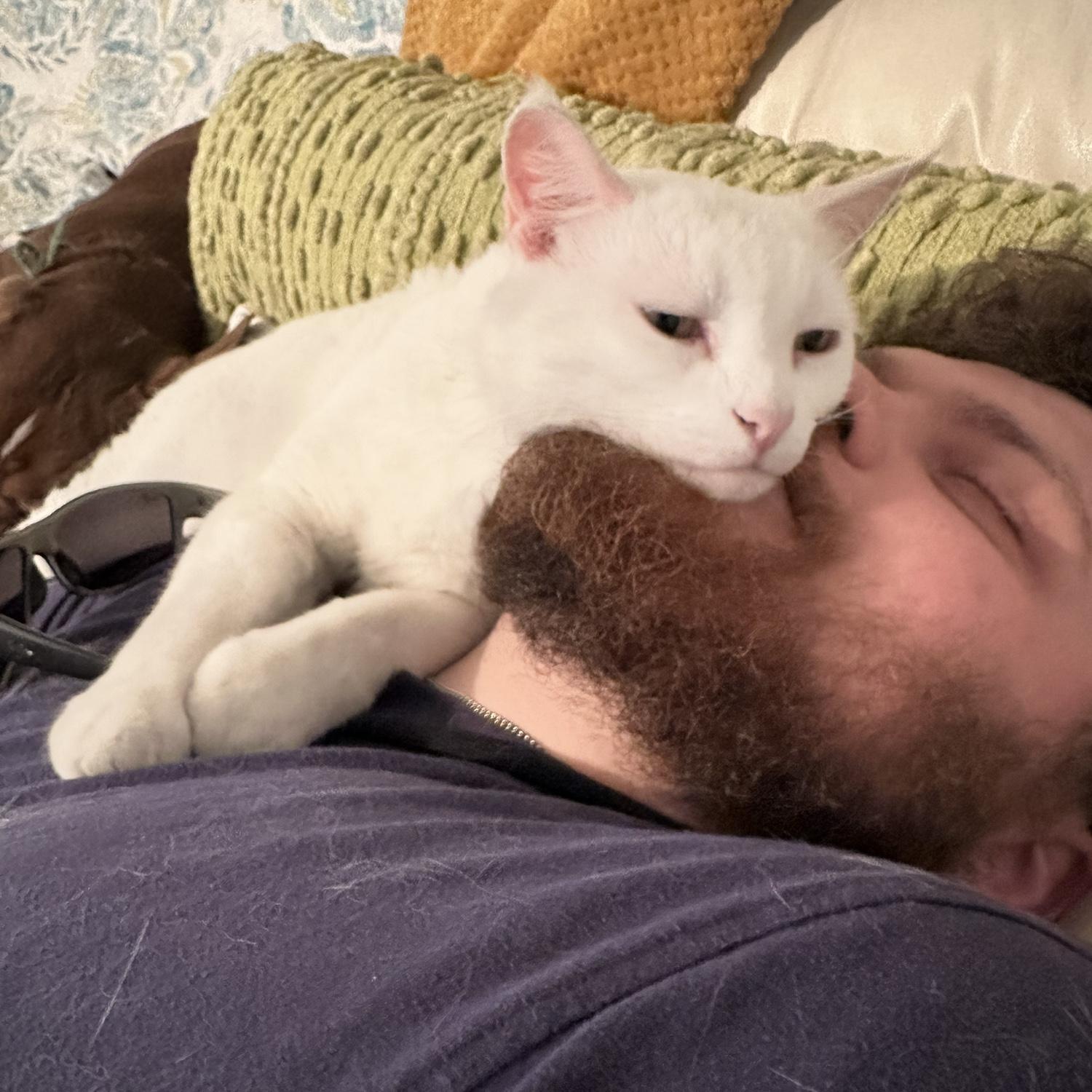 Herman snuggling with Steven's beard