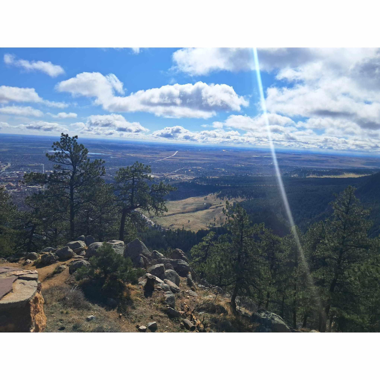 View