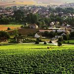 Chablis