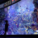 New England Aquarium