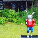 Historic Uncle Remus Museum