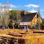Wheeler Historic Farm