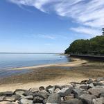 Tappen Beach