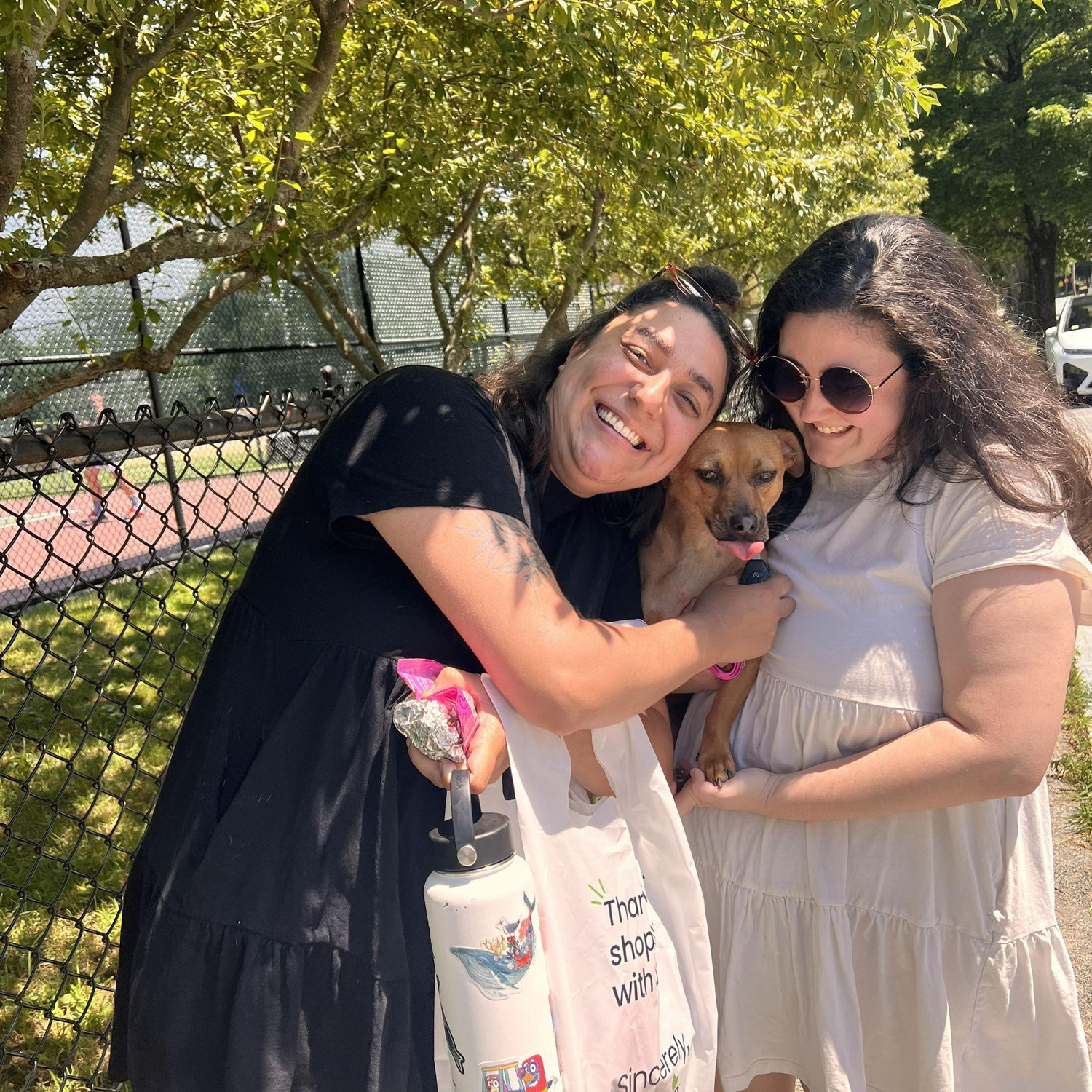 We found a lost dog, who we knew, in Concord, MA - Tayto!!!