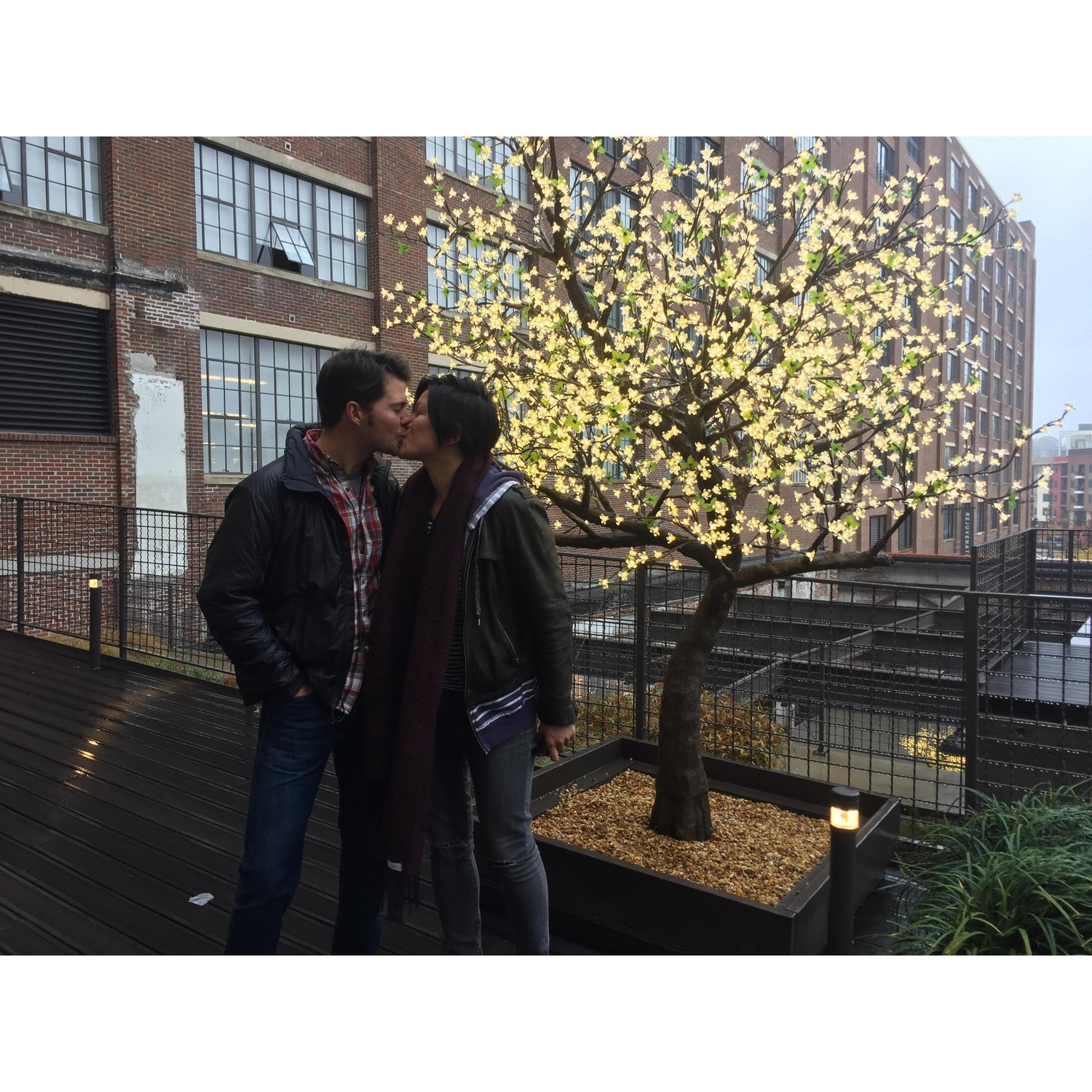 Enroute to Houston, we had a forced stop in Atlanta. Kissing under a a tree was obligatory.