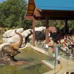 Denver Zoo
