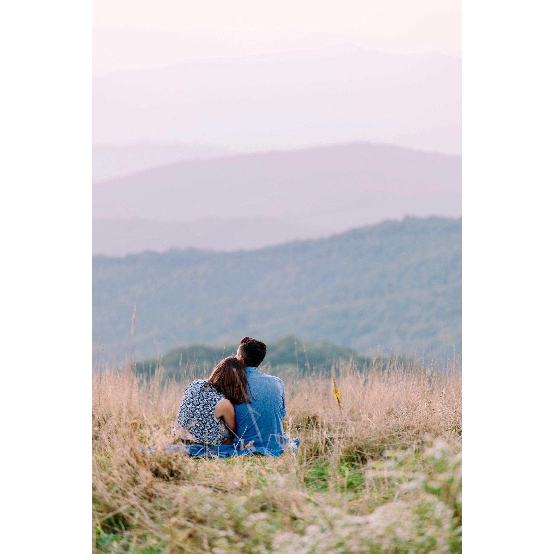 Enjoying the view before the proposal