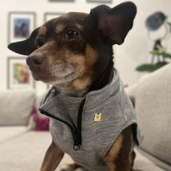 Home at Last Dog Rescue