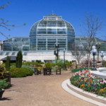 United States Botanic Garden
