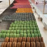 Bottega Louie