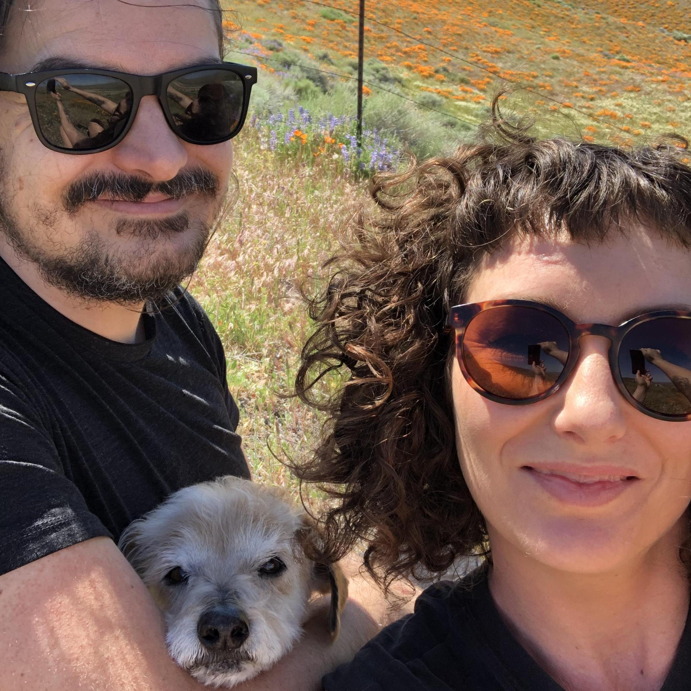 drove an hour to see the 'super bloom'