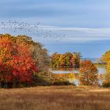 Caumsett State Historic Park & Preserve
