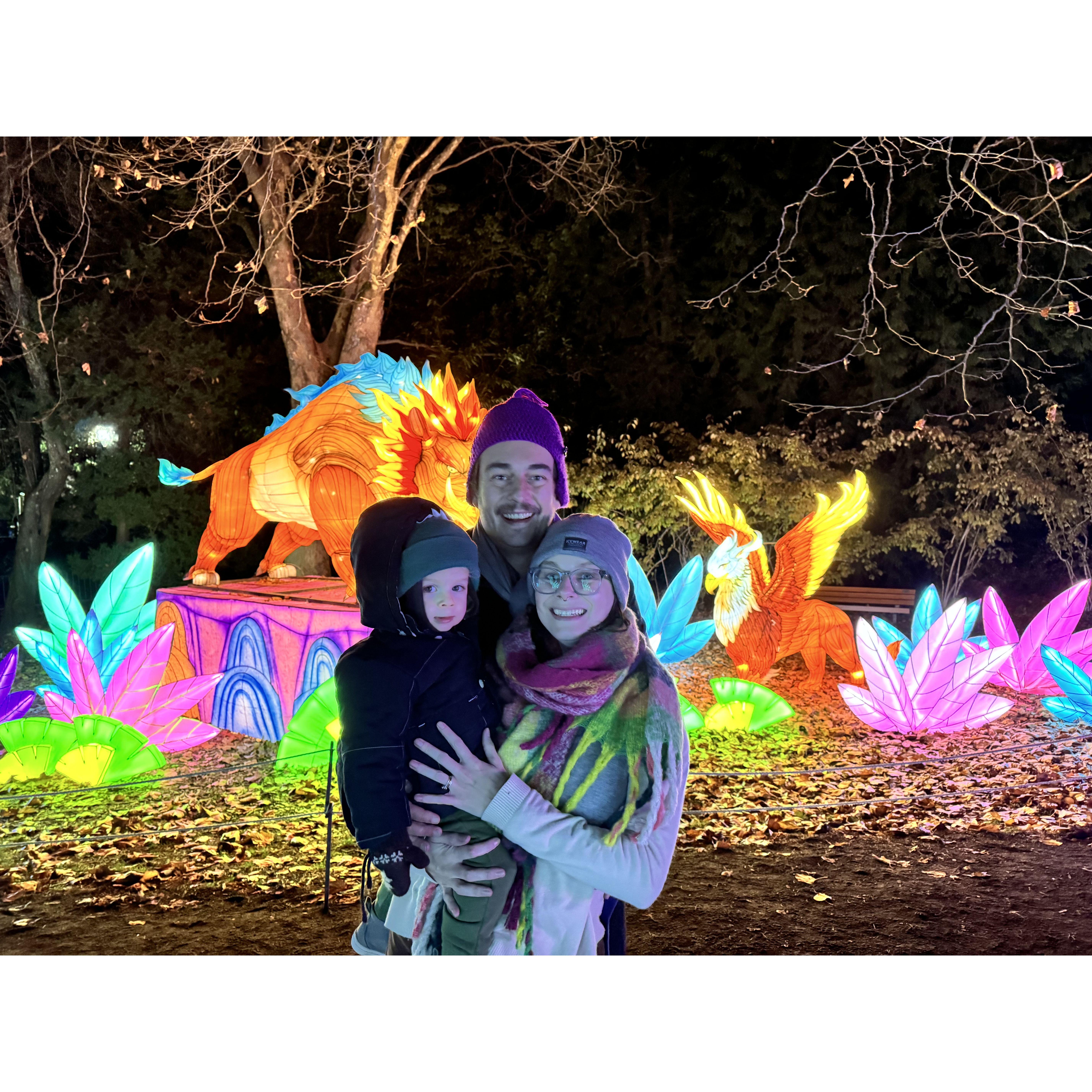 Annual Zoo Lights