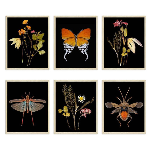 SPRWIND Set of 6 Posters, Dried Insects Wildflower Specimens Print, Pressed Flower Black Botanical Prints, Dark Floral Wall Art Herbarium Wall Decor, UNFRAMED 8X10 Inches