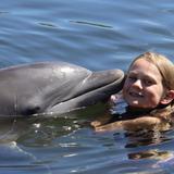 Swim with Dolphins!