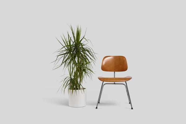 Norden 10" Planter (White)