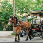 Old South Carriage Company
