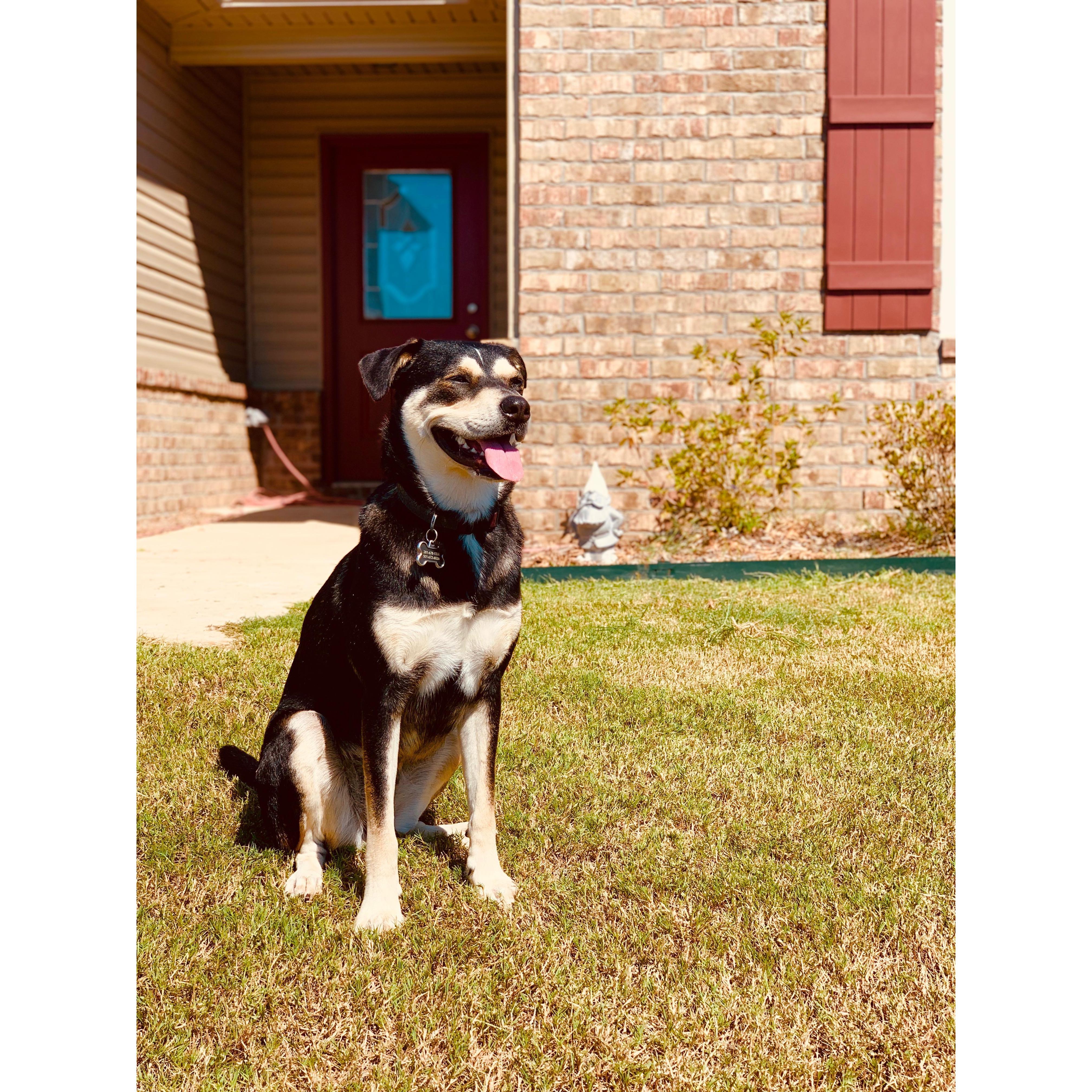 We can't forget our fur babies! This is Nala!
