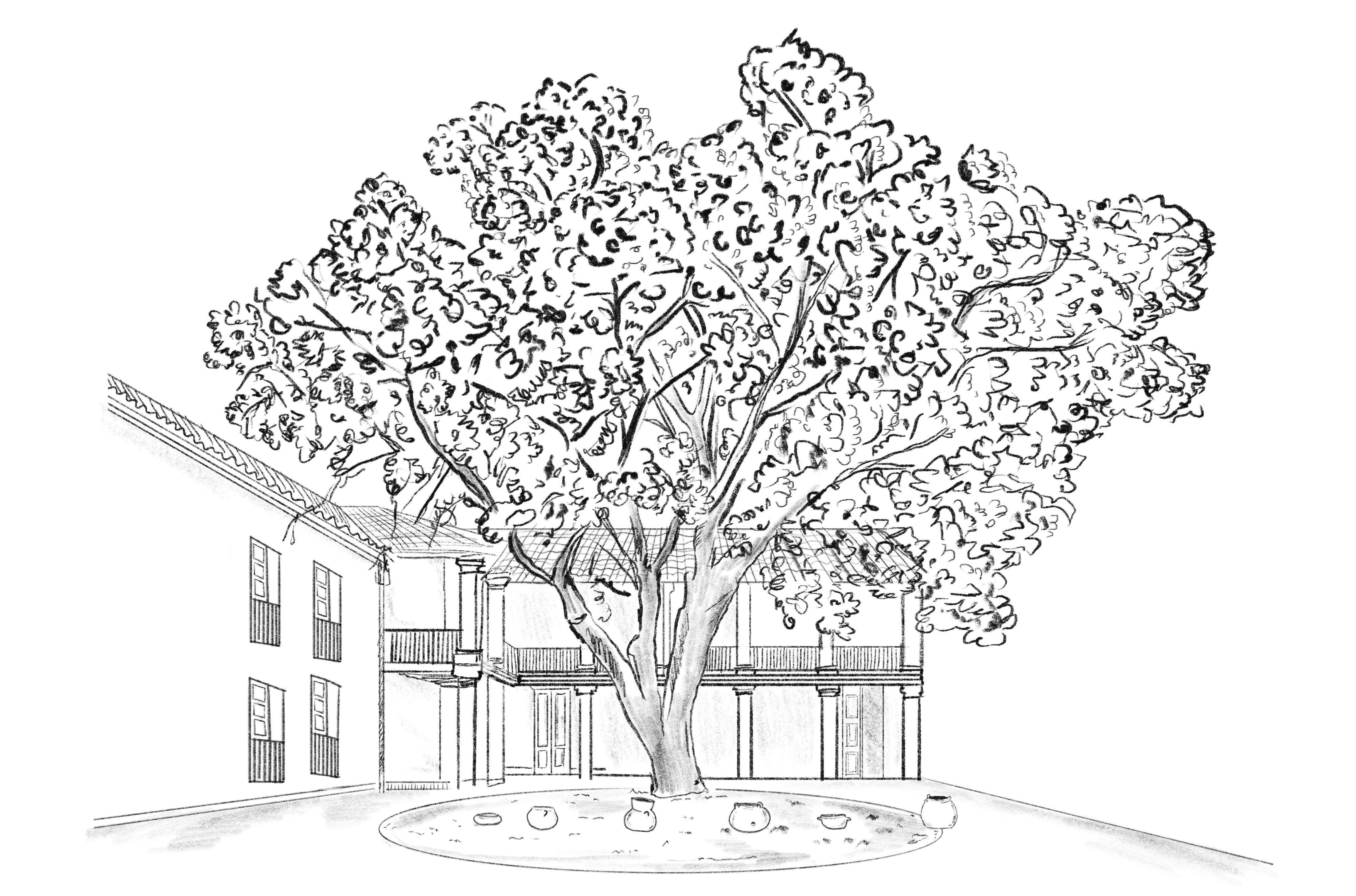 The Wedding Website of María Escobar and Simón Suarez
