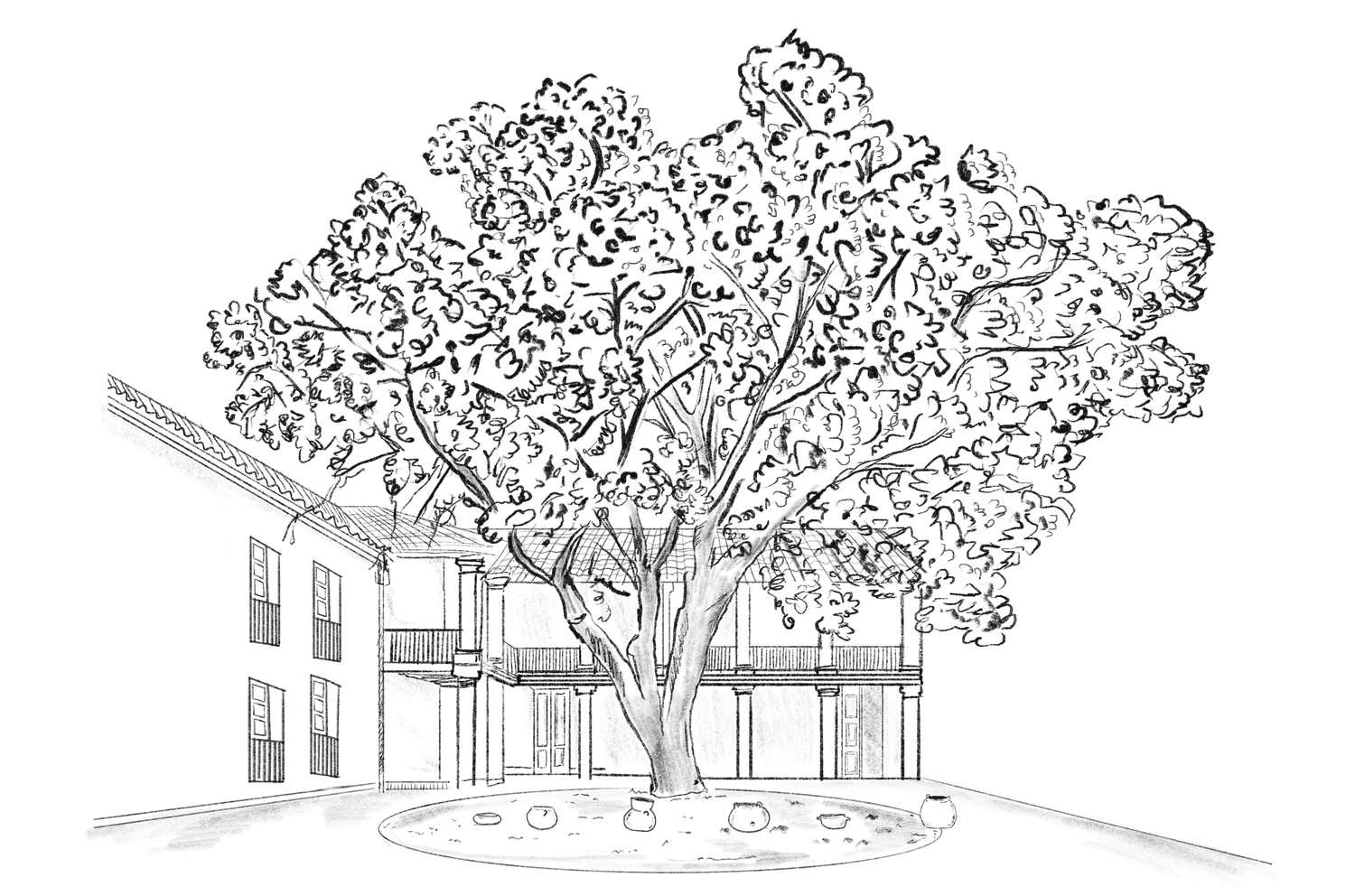 The Wedding Website of María Escobar and Simón Suarez