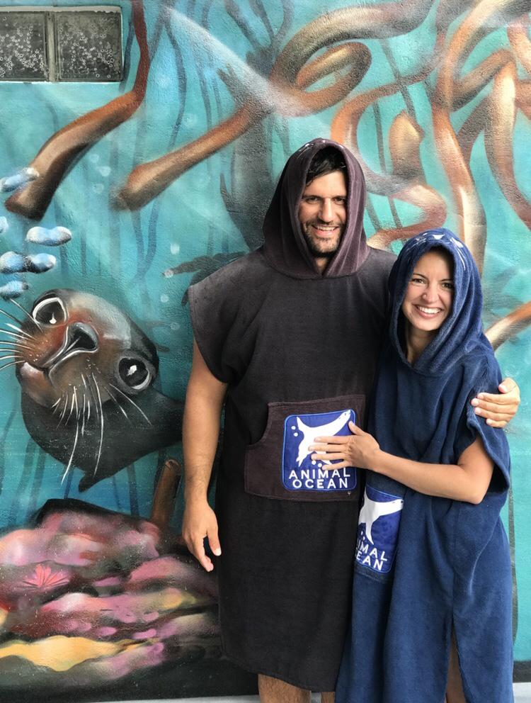 Swimming with the seals 🦭