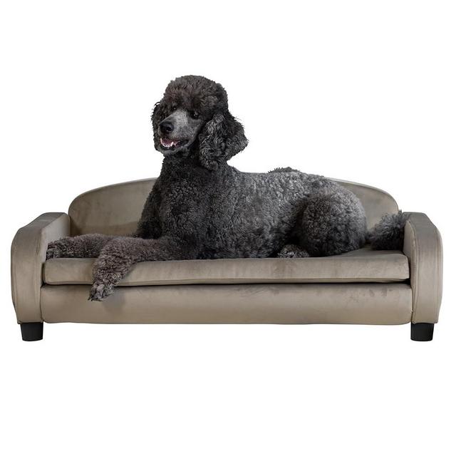 Paws & Purrs Modern Pet Sofa 41.5" Wide for Large Dog with Removable/Washable Mattress Cover