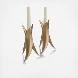 Eco Candlestick, Set of 2