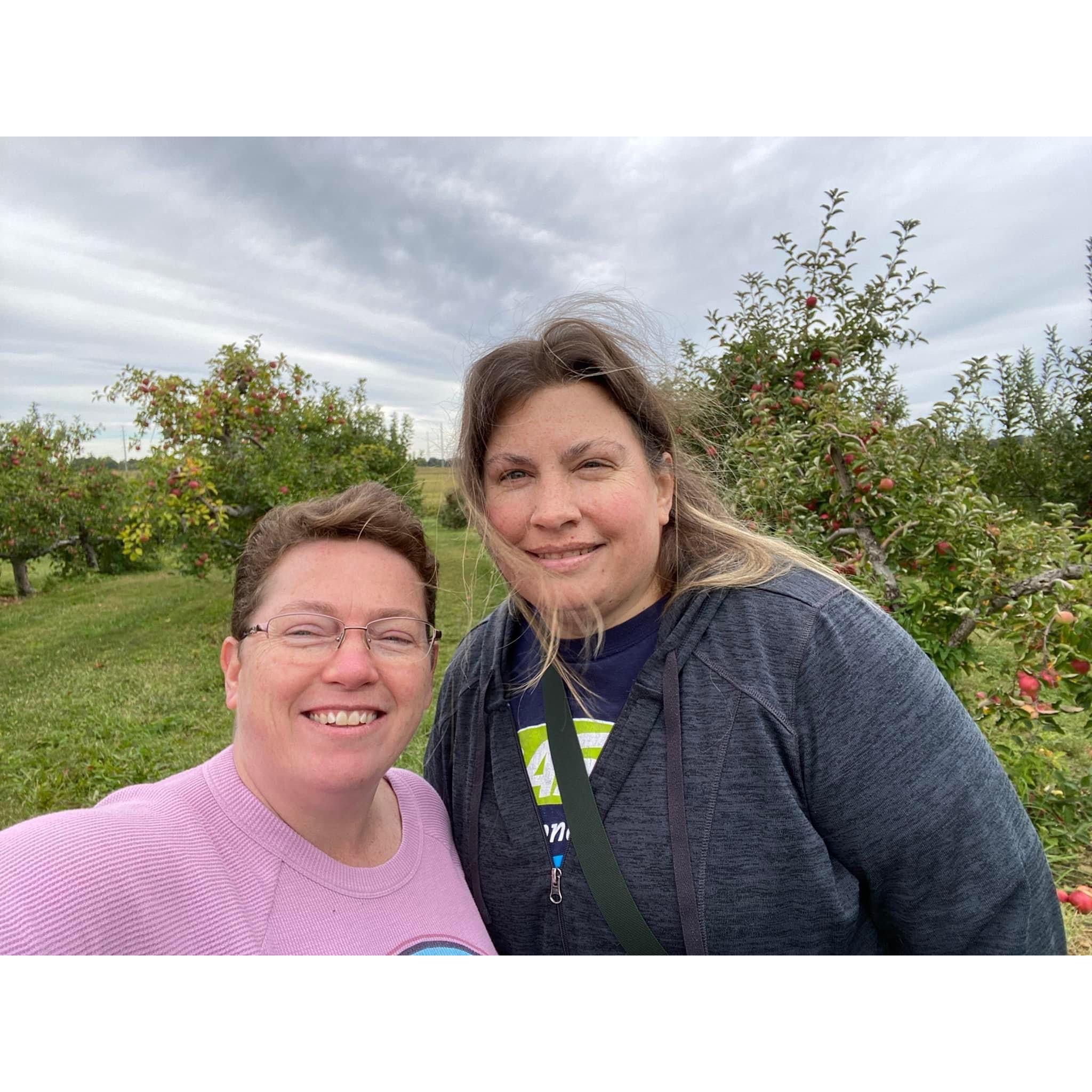 Apple picking at Lynd's Fruit Farm